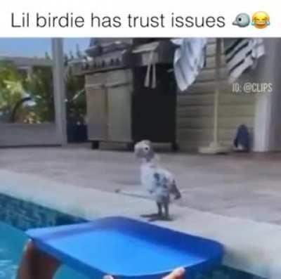 This lil bird has trust issues