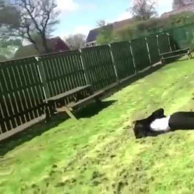 HMFT after I fail at the human wheel