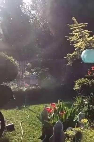The most intense garden sprinkler with the most intense death metal