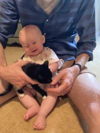 My daughter meeting kittens for the first time