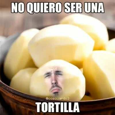 Willyrex tortilla? -Dia 8 subiendo un meme hasta que orslok me desbanee de twitch dragobian