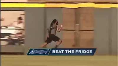 can you beat the fridge?