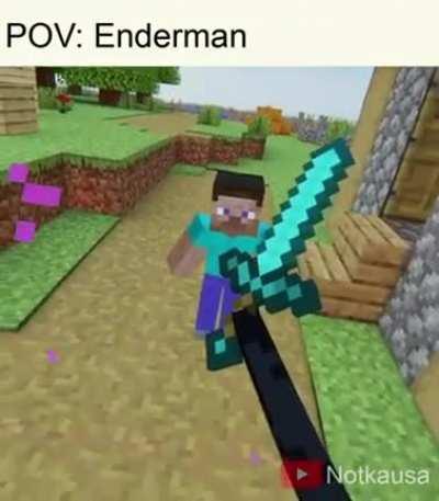 POV: ENDERMAN