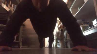 A dad was interrupted while filming a pushup challenge to raise awareness for PTSD.