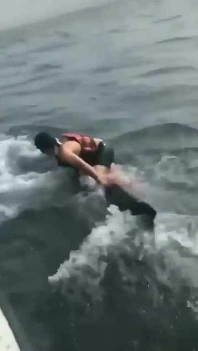 Man jumps into the water with a humpback whale and climbs on top of it in order to cut off a fishing line wrapped around it