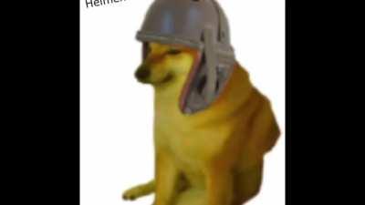 Saumders