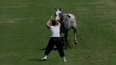 Trying to stop a running horse with your body. What could go wrong, u/thegregslife?