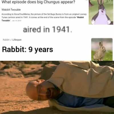 nooo big chungus 😢