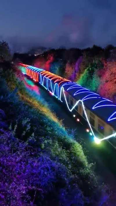 🚂 The Christmas Train of Lights in Paignton is something else! (Video: Scott Williams Photography)