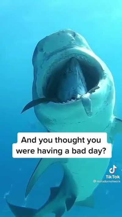 Bad day!