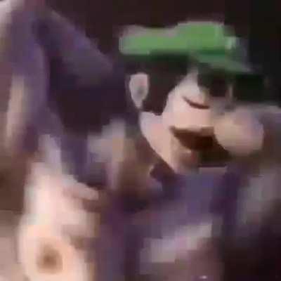 Luigi