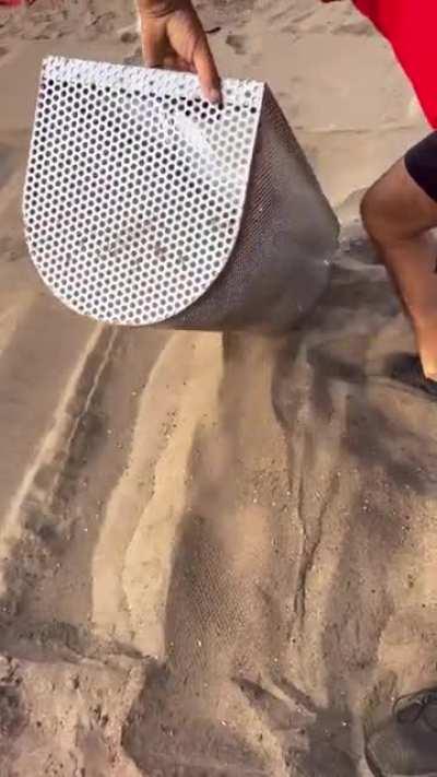 Cleaning up a beach by extracting small plastics from sand