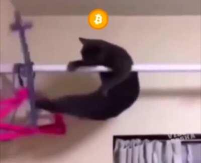 Bitcoin This Week