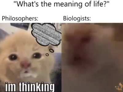 Phusliphoy lifeskwh
