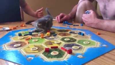 The Destruction of Catan