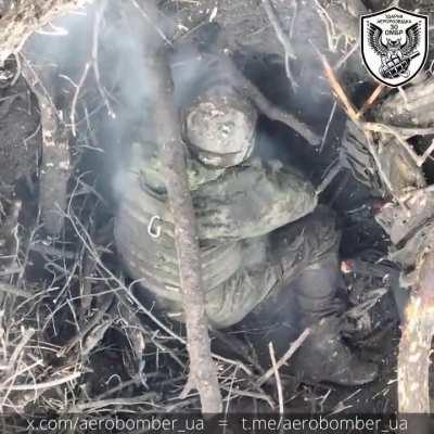 Russians in trench killed with drone dropped grenades. Mice seen scurrying up and out of the trench over a body.