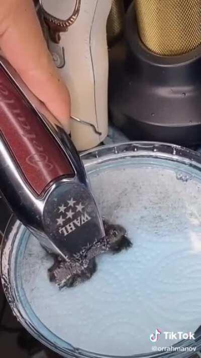 Disinfecting a shaver