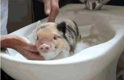 Having a bath