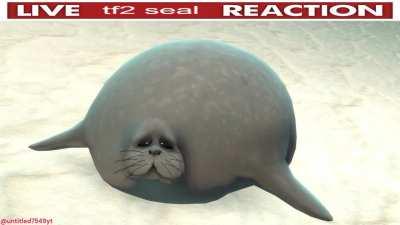 live tf2 seal reaction (shame)