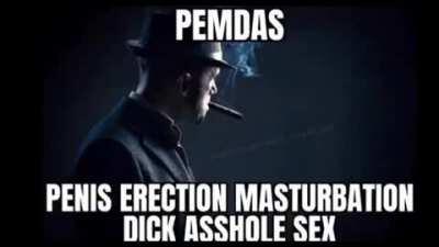 Penis erection erection penis