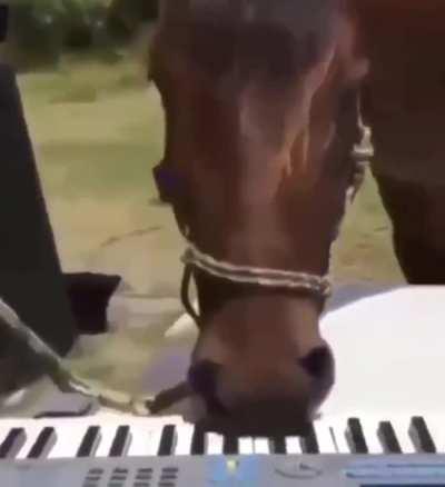 Piano horse