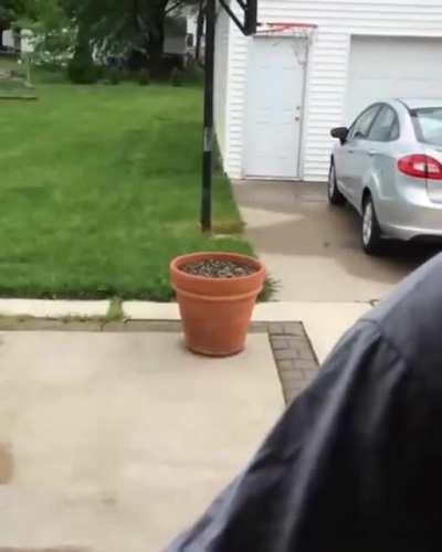 Dog thought she was so sneaky when she didn’t want to come inside.