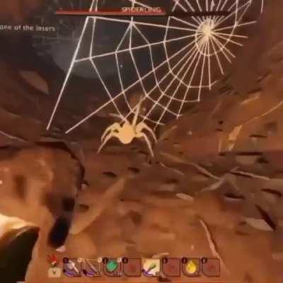 Arachnophobia Intensifies