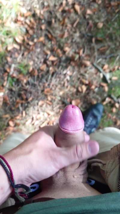 A little walk in the woods. 🍆