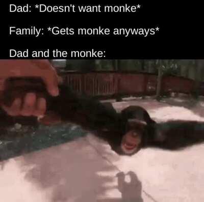 Monke is man's best friend :)