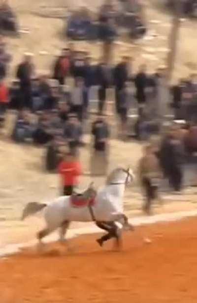 Man jumps on to saddle and tames runaway horse