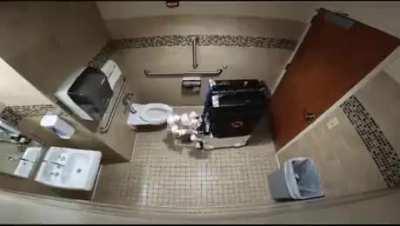 Robotic maid cleaning a toilet without any assistance