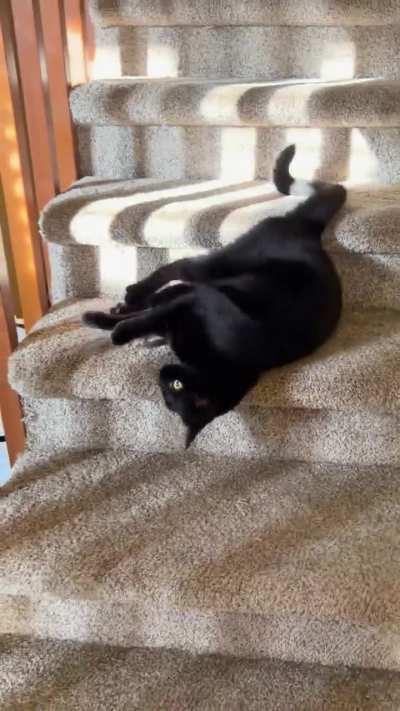 She likes to roll down the stairs