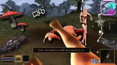 Skybaby in their first first 20h in Morrowind [video of @DeMickyD]