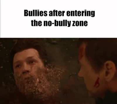 No-bully policy