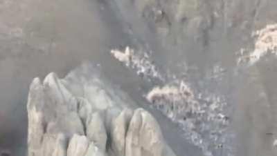 Snow leopard running from the top of the mountain to hunt a sheep shows incredible agility.