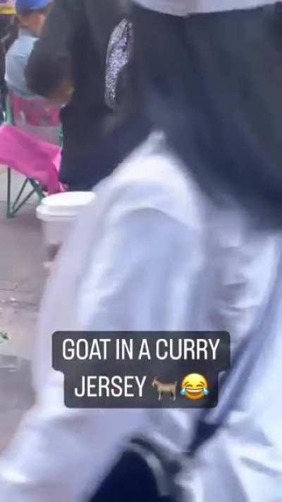 GSW fans bring a GOAT to the parade lol