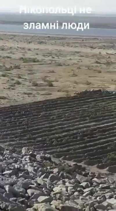 Potatoes planted at the bottom of the Kakhovka reservoir near Nikopol. If you need to describe Ukrainians as a nation, this situation is ideal.