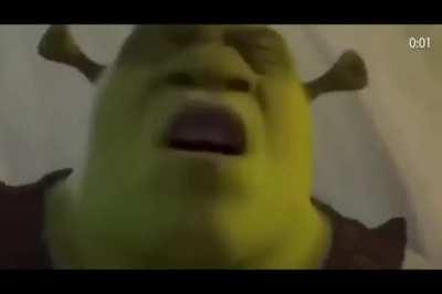 Shrek is love