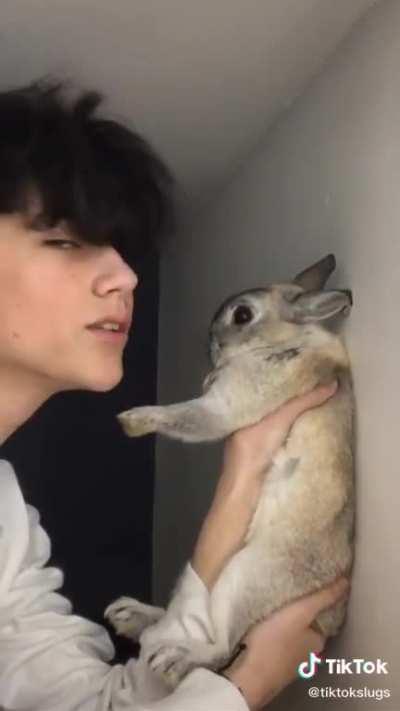 In Love With a Rabbit Cringe