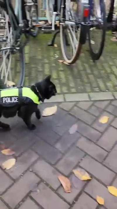 A Policeman on duty in Amsterdam