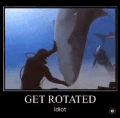 Roses are red, my friend is a vidiot