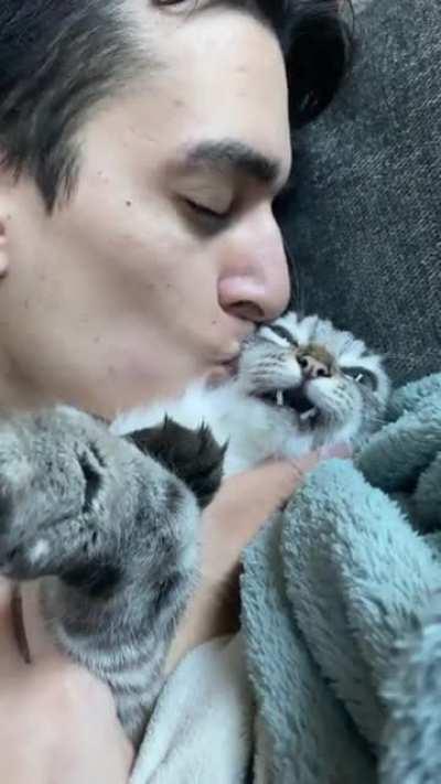 Kisses will be the absolute end of this kitty!