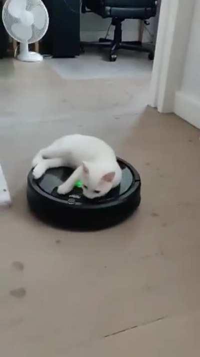 I knew getting a Roomba would be worth!