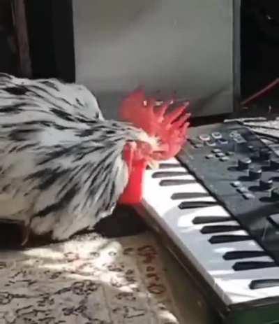 😳😳 how he do that?!?!?🤔🤔😯🐓🎹