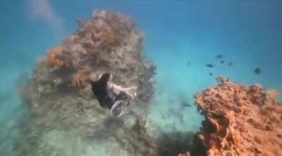 Underwater diving in a wheelchair