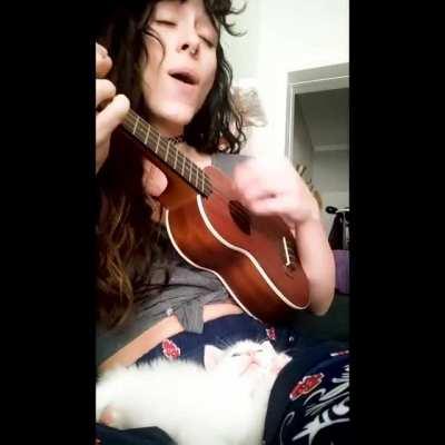 Our kitten loves when she sings