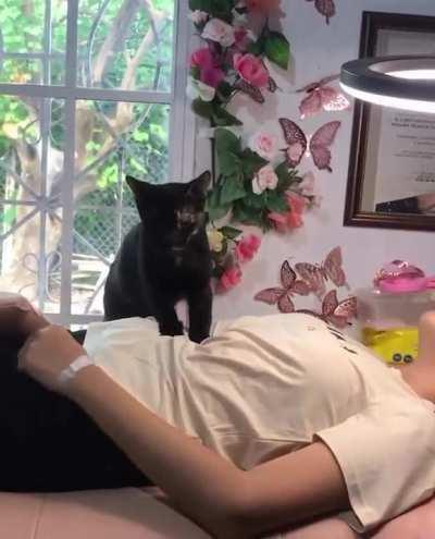 Kitty provides complimentary massages to her owner’s clients as they receive eyelash services.