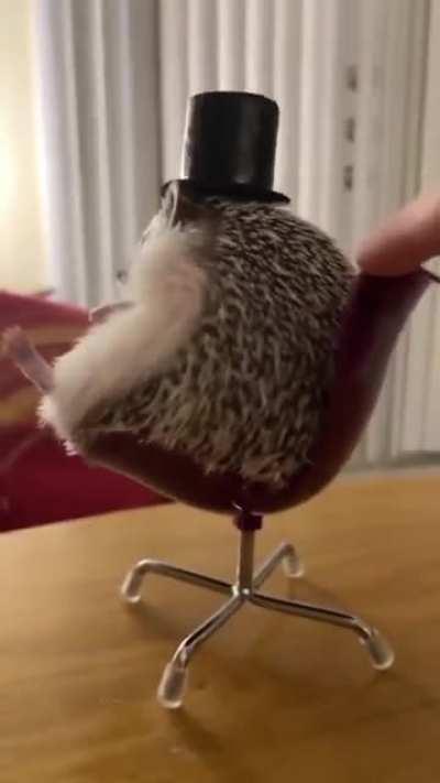 Mr Hedgehog : I'm gonna make you an offer you can't refuse 🎩