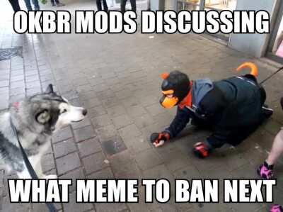 stop banning memes retards 😤 😤😠 petiton to bring back i'm stuff