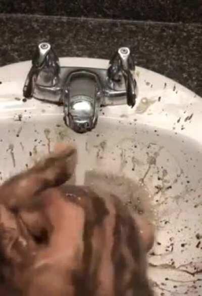 Ninja turtle washes his hands